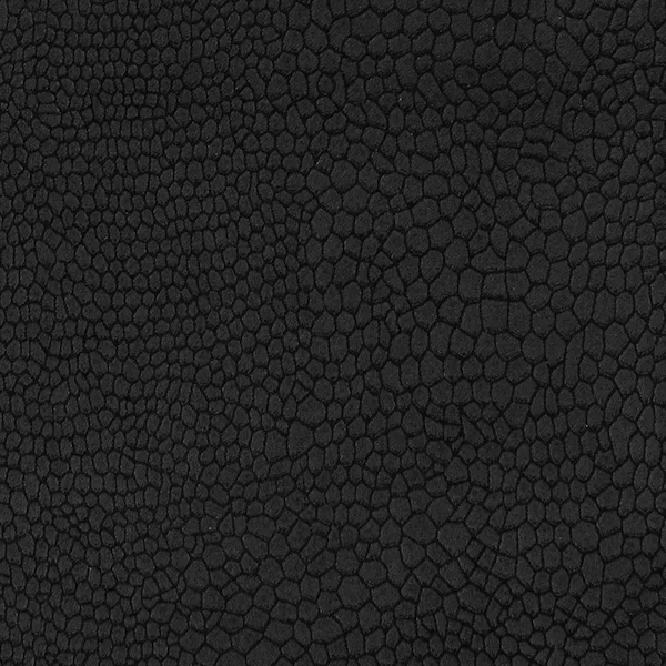 550-faunal-black.jpg