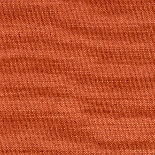 506-ELEGANCE-PAPRIKA 506-ELEGANCE-PAPRIKA.jpg