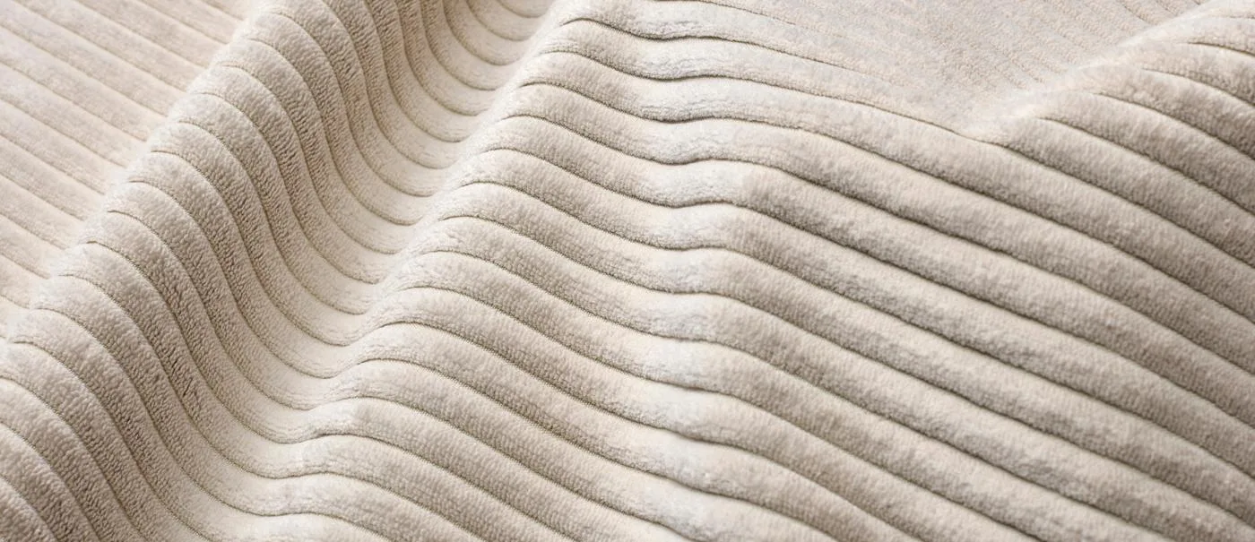 594 Corduroy, Ivory