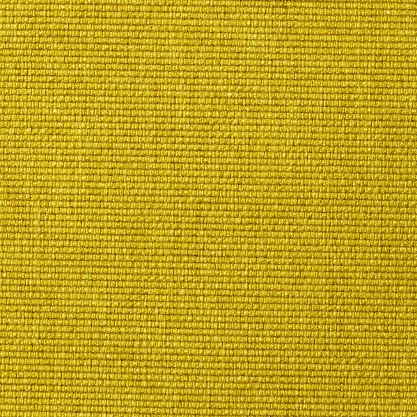 554-SOFT-MUSTARD-FLOWER.jpg