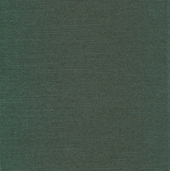 518-ELEGANCE-GREEN.jpg