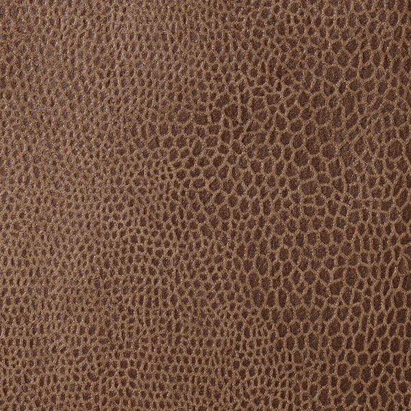 551-FAUNAL-BROWN 551-FAUNAL-BROWN.jpg