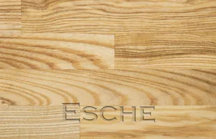 Esche stabverleimt